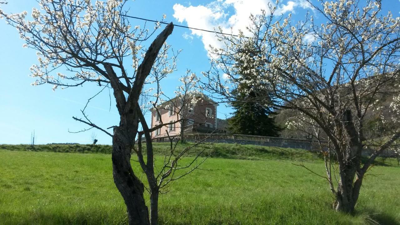 La Villa Du Collet La Penne Bagian luar foto